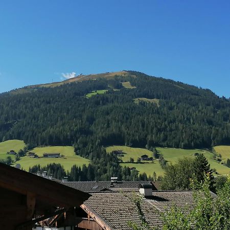 Ferienwohnung Haus Sama Alpbach Kültér fotó